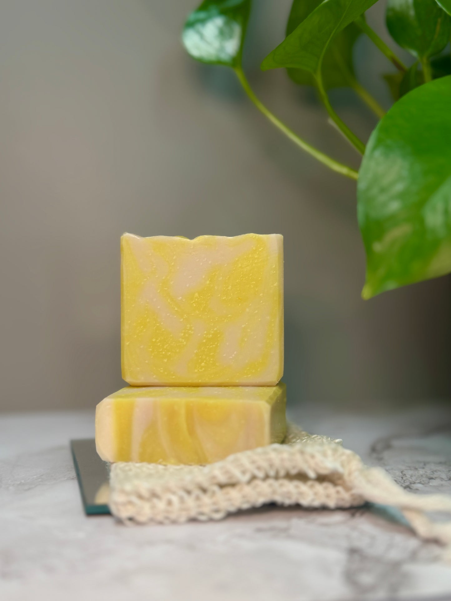 Oatmeal, Milk + Honey Soap Bar