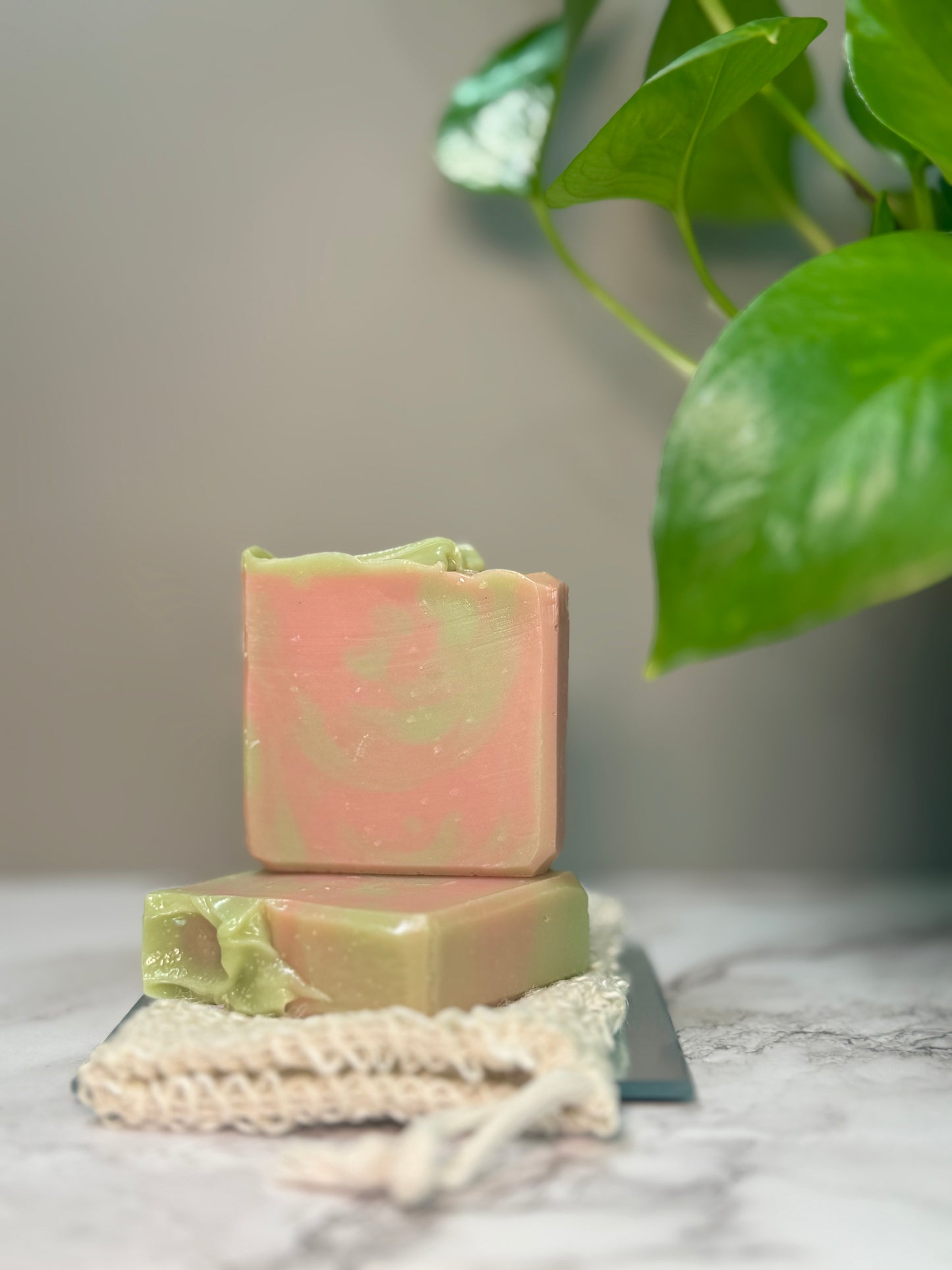 Wands + Wings Soap Bar