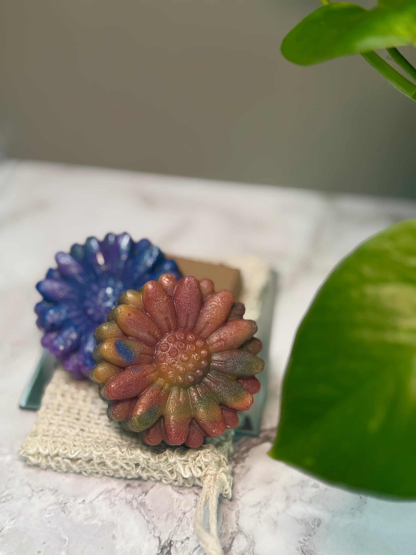 Born This Gay Soap Bar